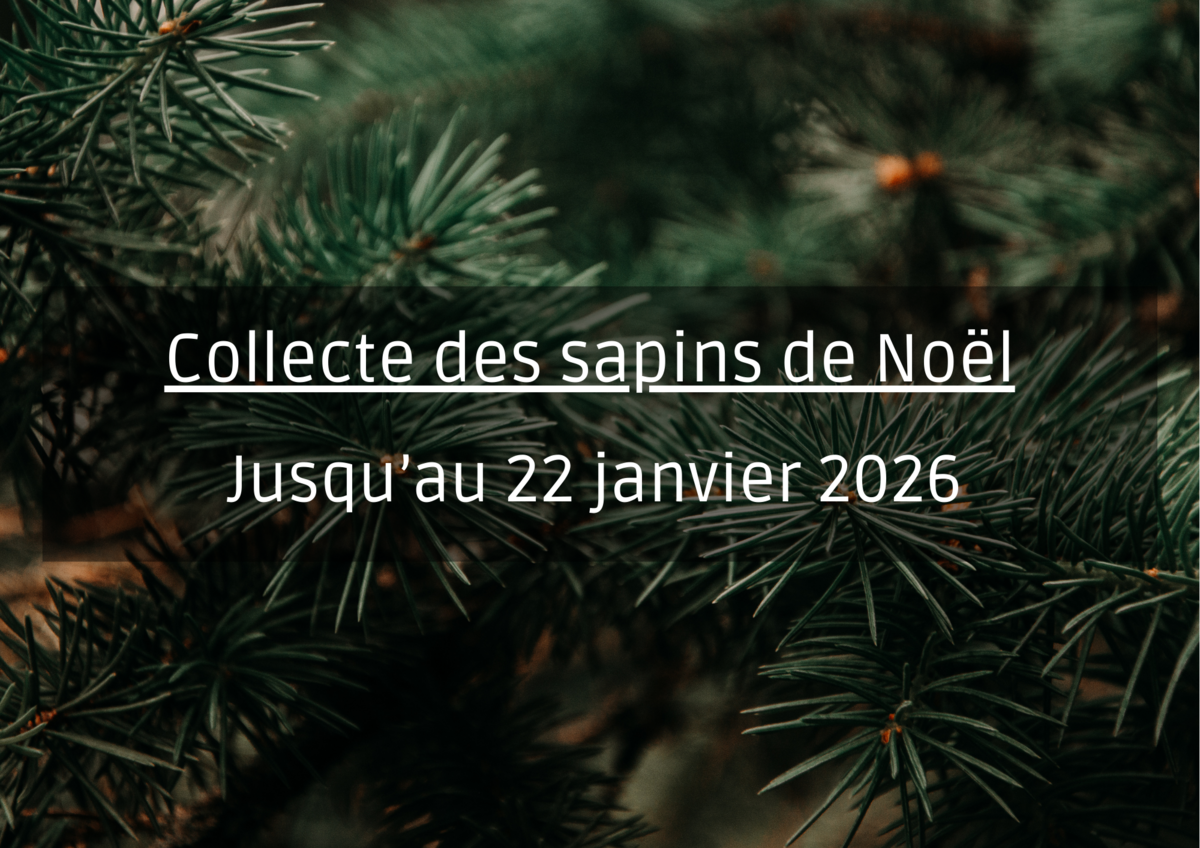 Image de l'actualité