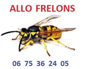 ALLO FRELONS