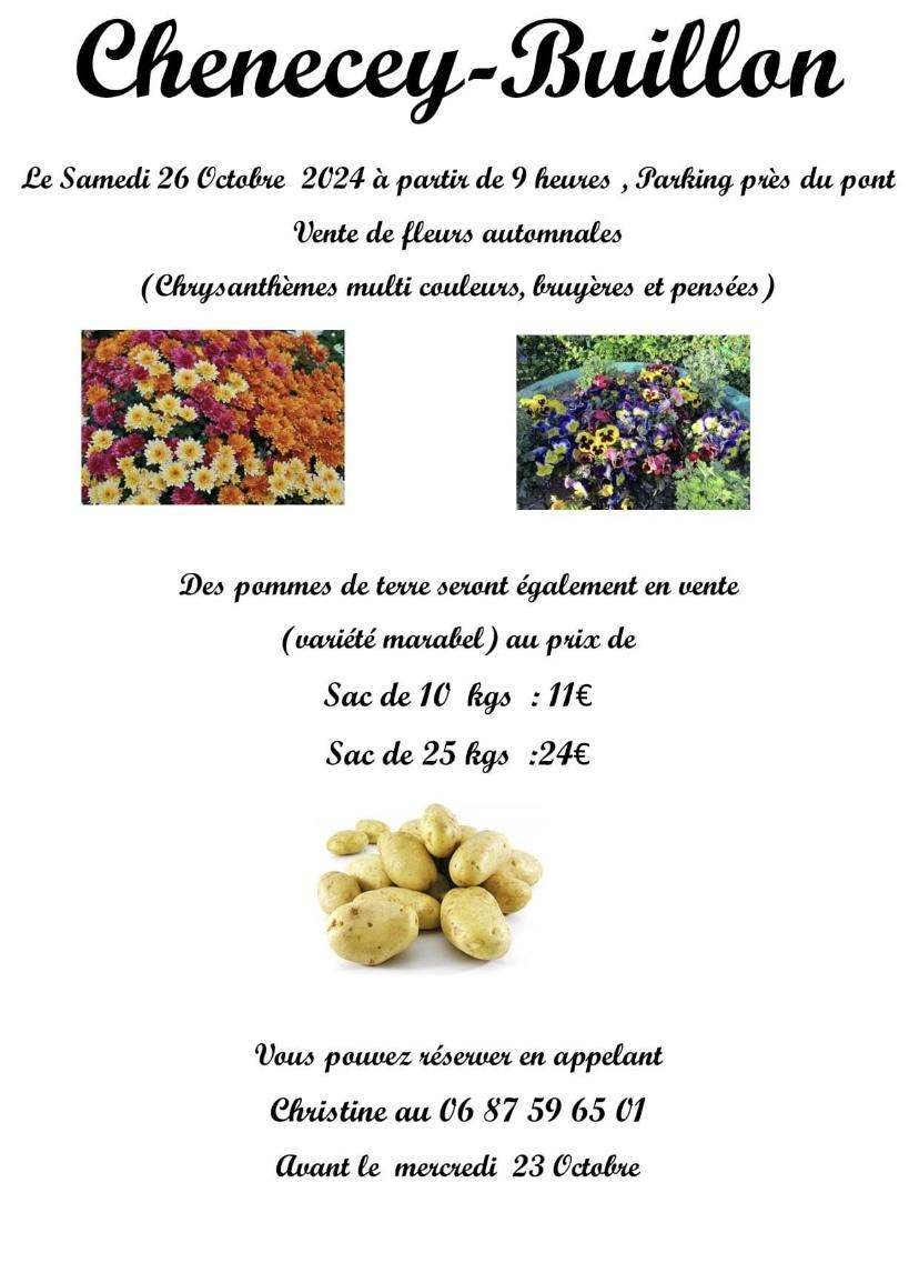 Comité des fêtes et vente de fleurs automnales