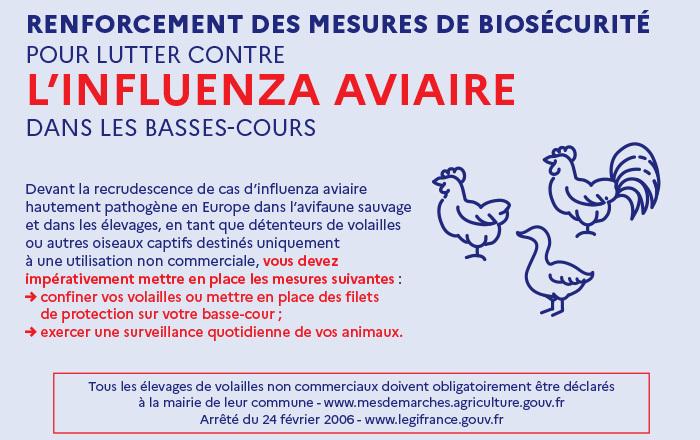 🐔 INFORMATION GRIPPE AVIAIRE 🐔