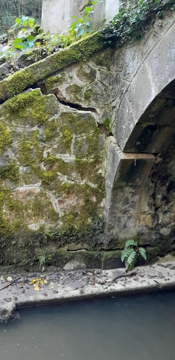 Fermeture du pont GONON