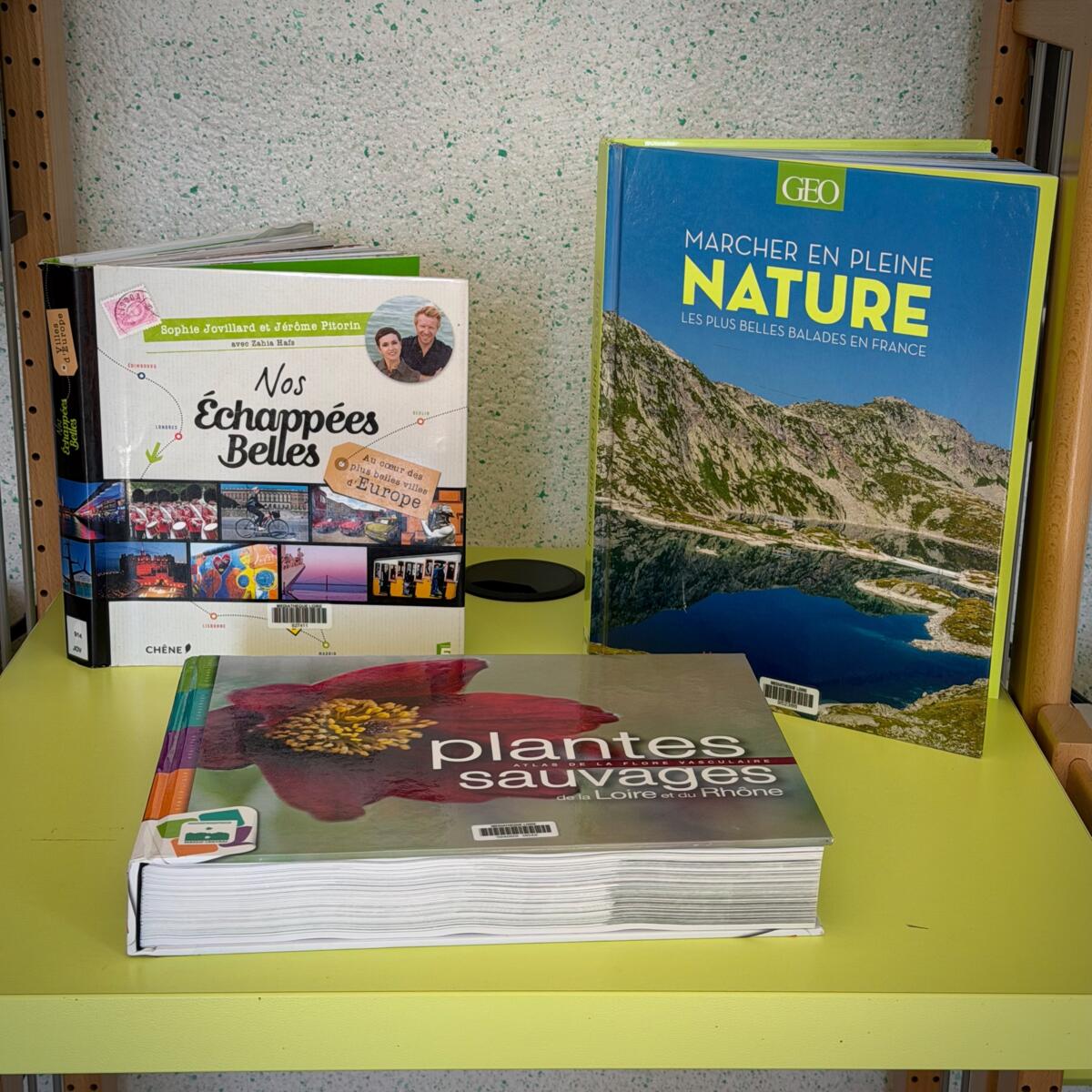 Image de l'actualité