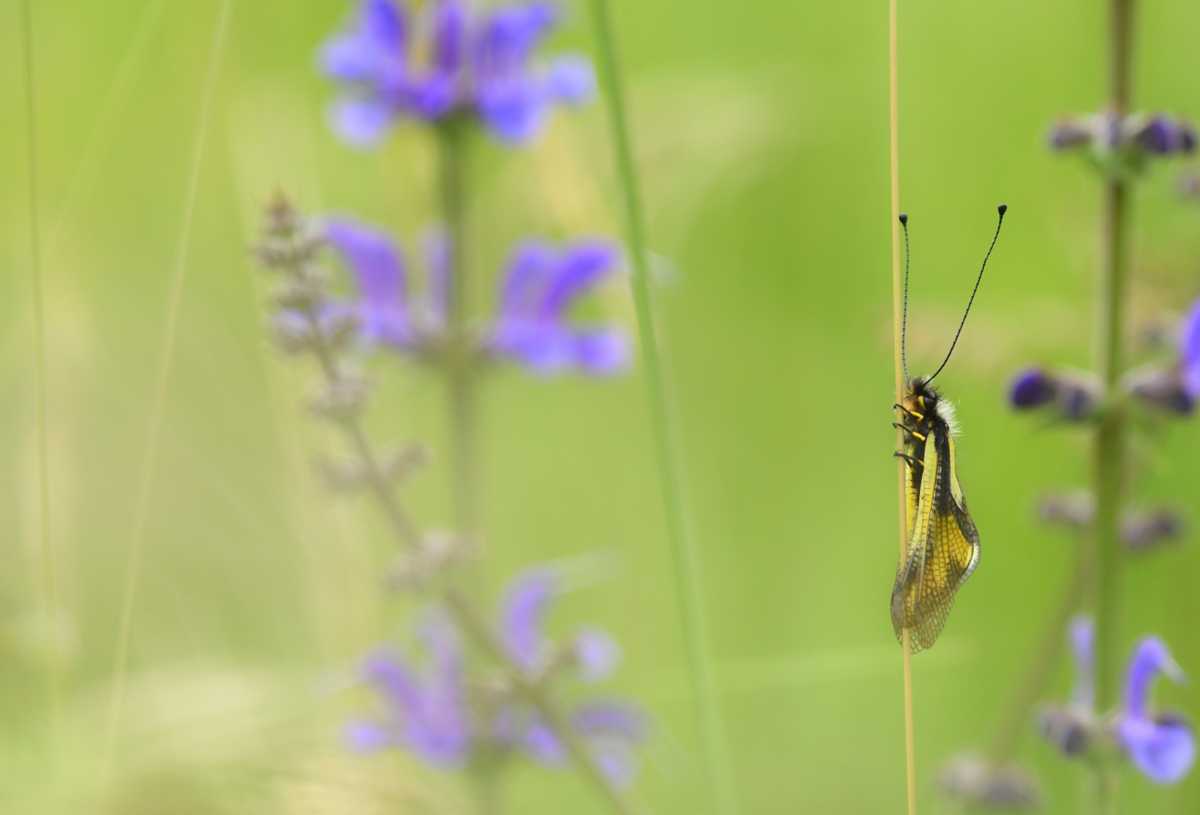 Image de l'actualité