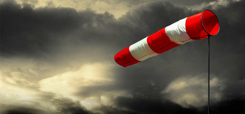 Image de l'actualité