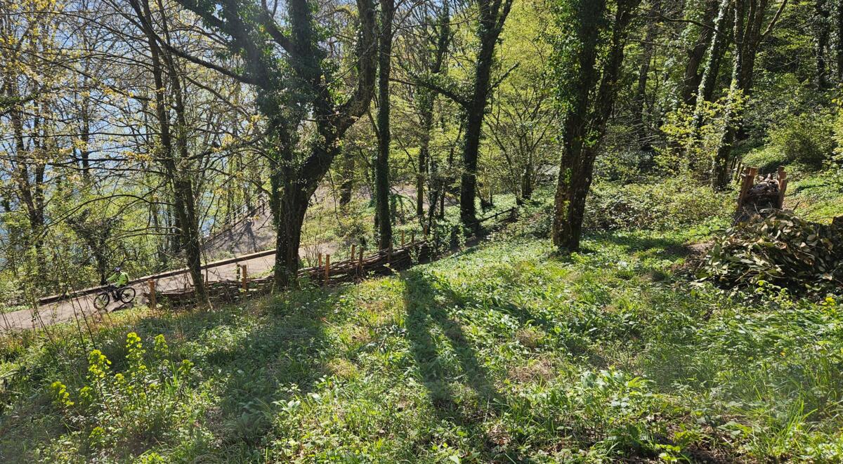 Image de l'actualité