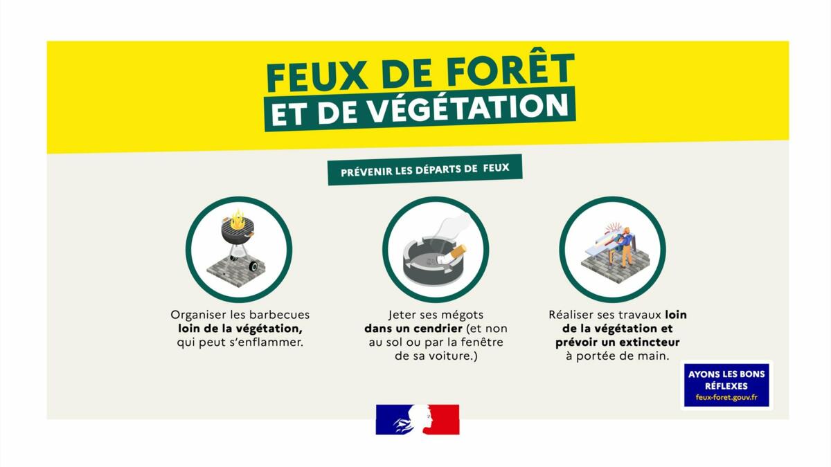Image de l'actualité