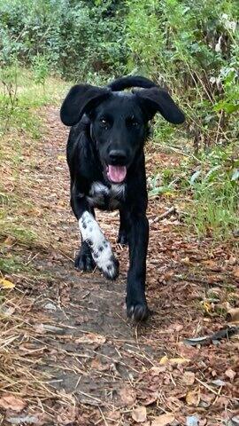 Image de l'actualité