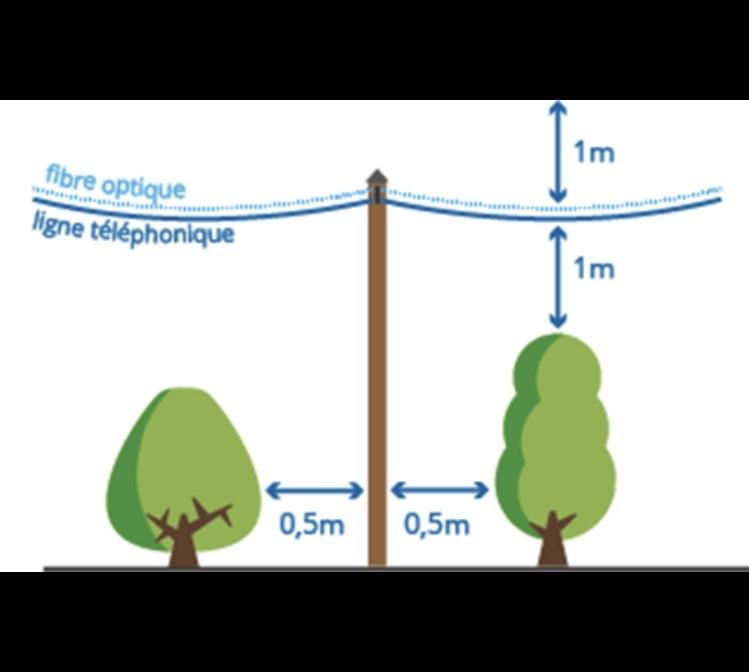 Fibre optique -élagage- Merléac