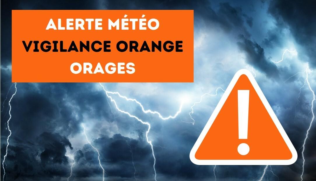 VIGILANCE ORANGE ORAGE (1/1)