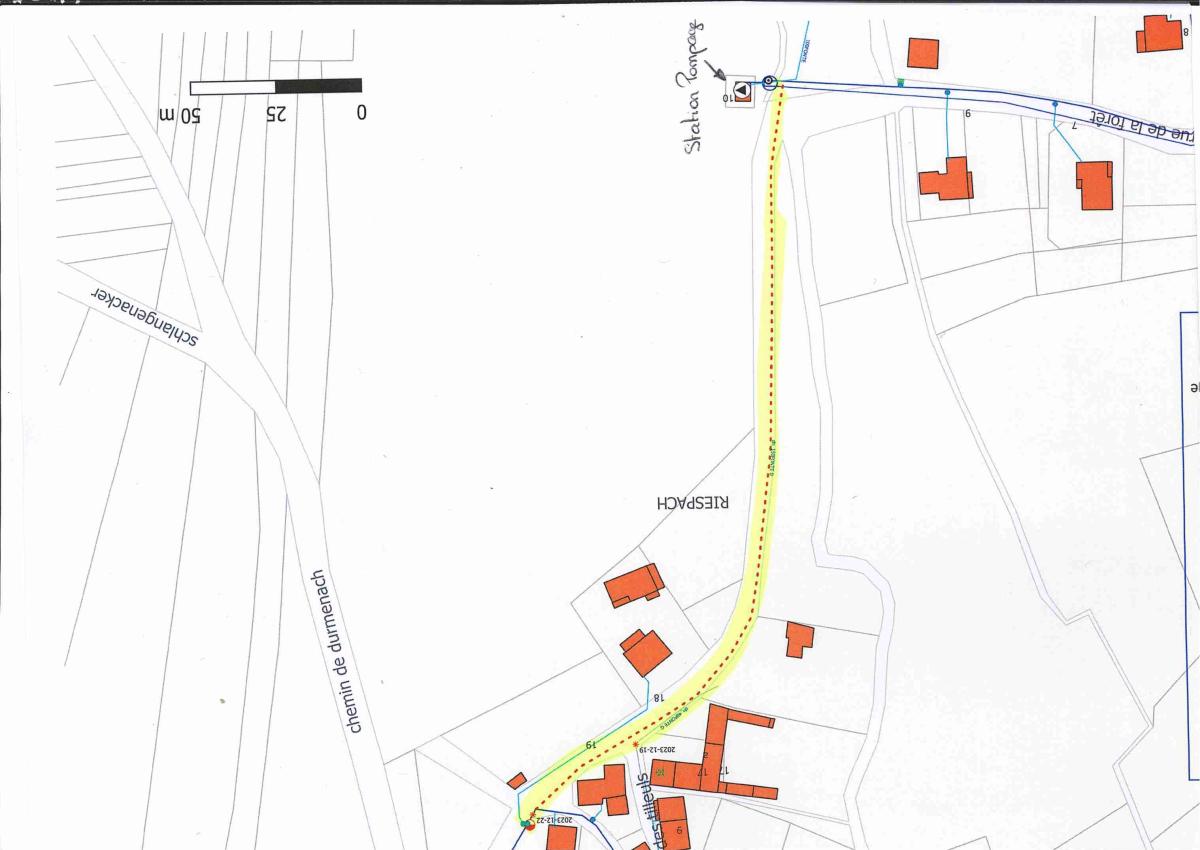 Prolongation : Réglementation circulation rue de la Forêt (1/1)