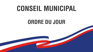 Réunion du Conseil Municipal (1/1)