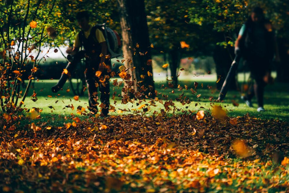 Collecte des déchets verts - samedi 5 octobre 🍂🪵