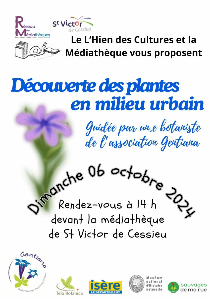 Découverte des plantes en milieu Urbain (1/1)