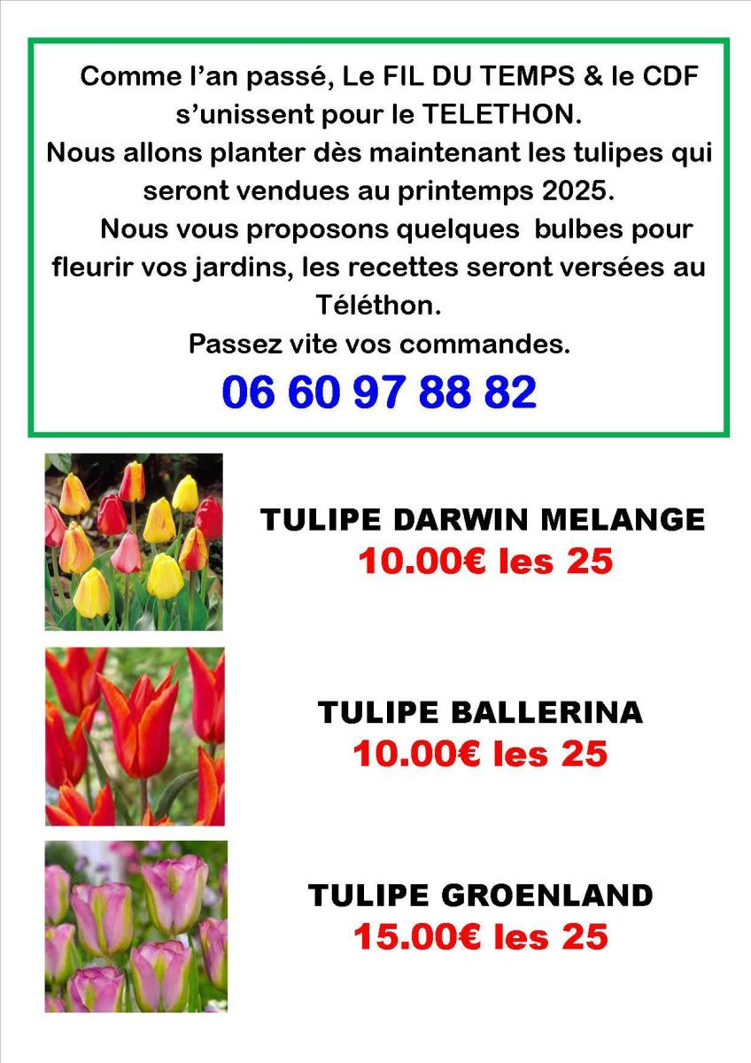 Vente de tulipes au profit du Téléthon