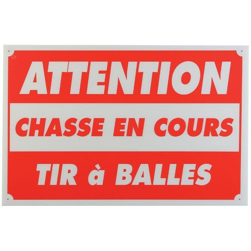 Chasse en cours