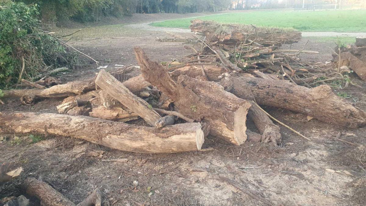 RAPPEL : MISE À DISPOSITION DE BOIS DE CHAUFFAGE