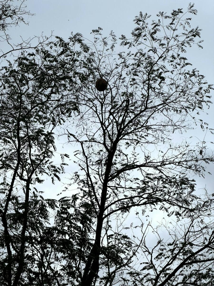 Image de l'actualité