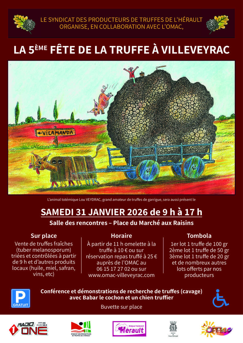 Image de l'actualité