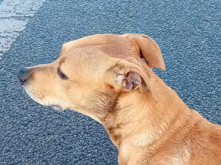 Image de l'actualité