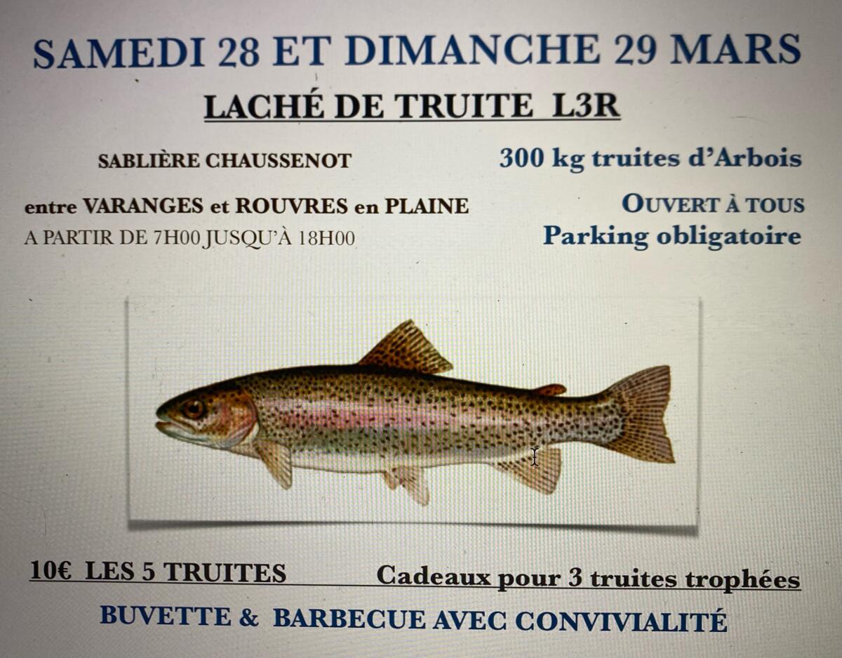 Image de l'actualité