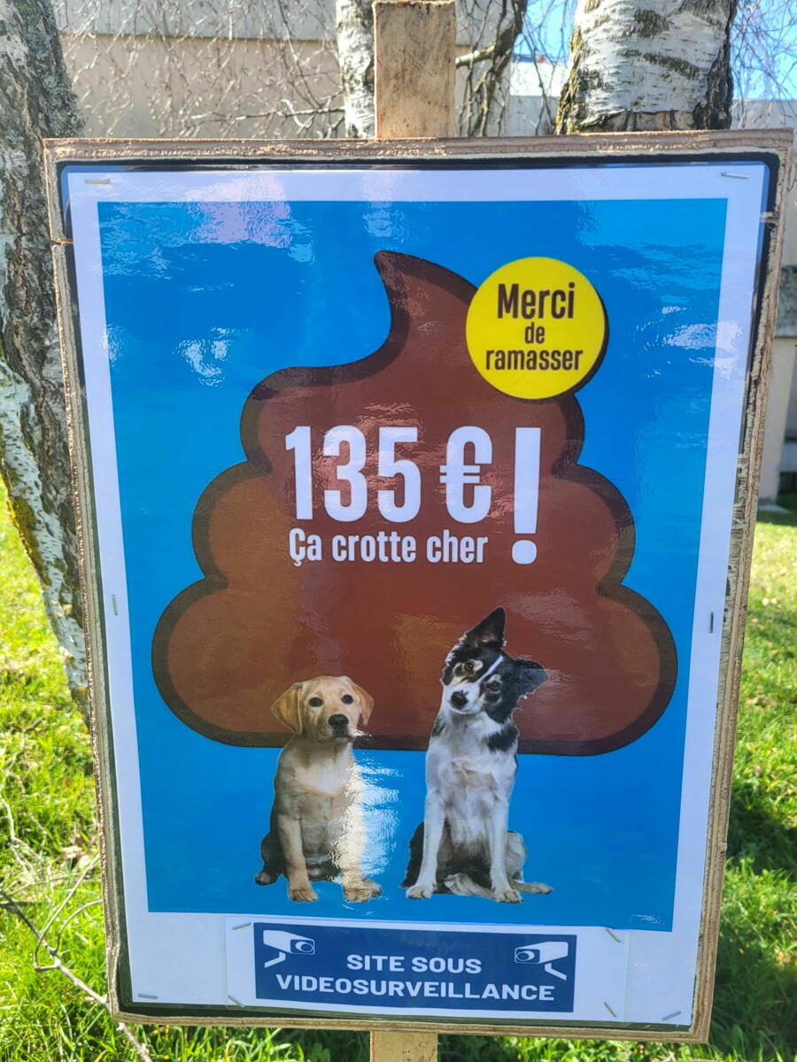 Image de l'actualité