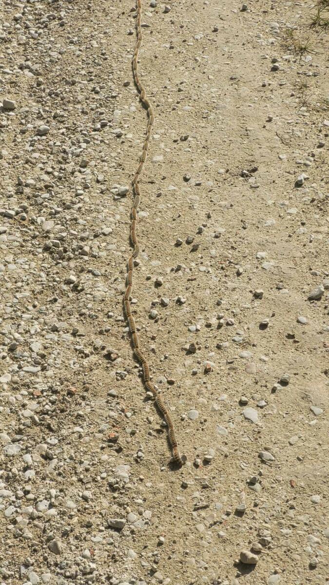 Image de l'actualité