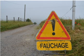 TRAVAUX DE FAUCHAGE-DÉBROUSSAILLAGE