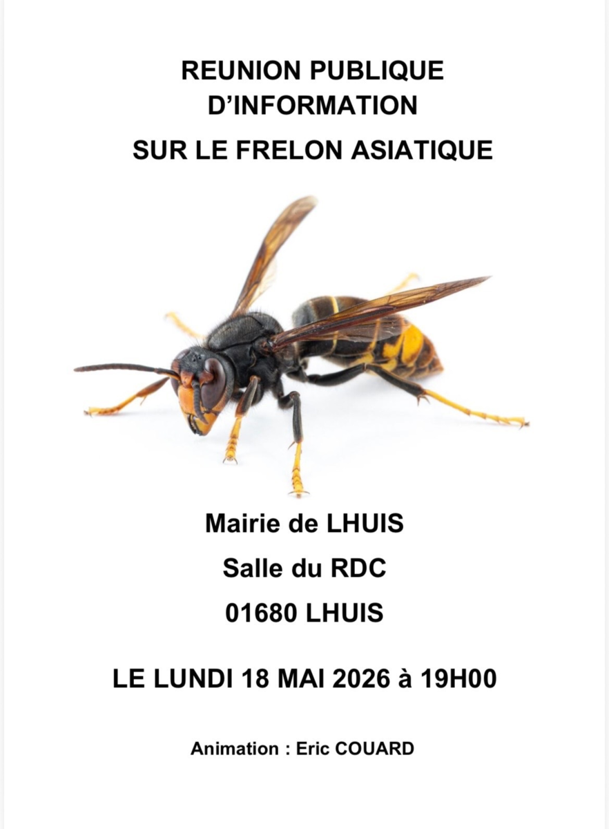 Image de l'actualité