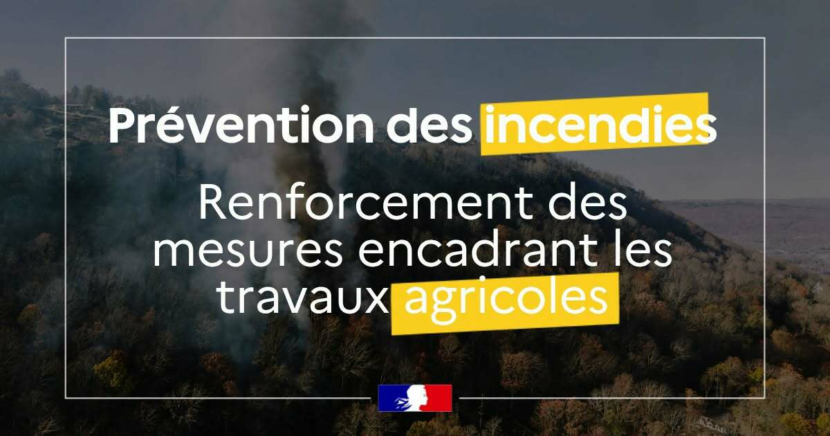 Image de l'actualité