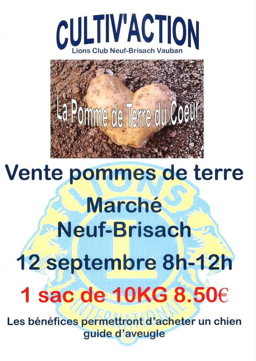 Image de l'actualité