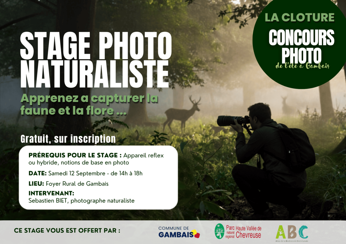 Image de l'actualité