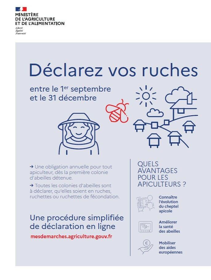 Image de l'actualité