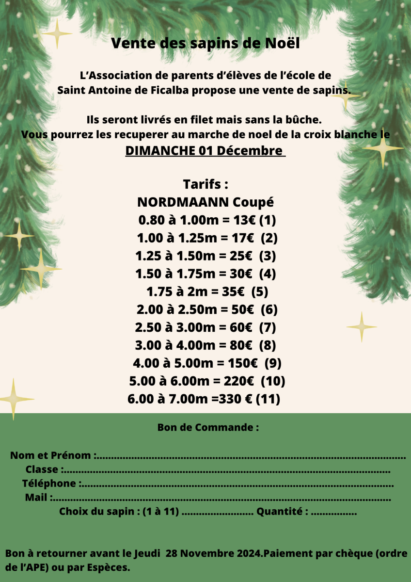 Vente de sapins de Noël