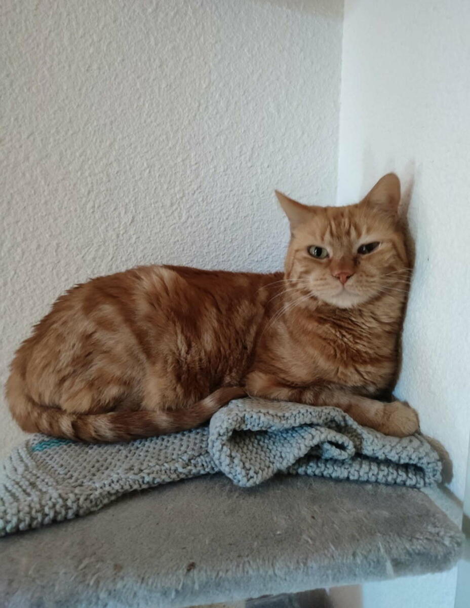 Image de l'actualité