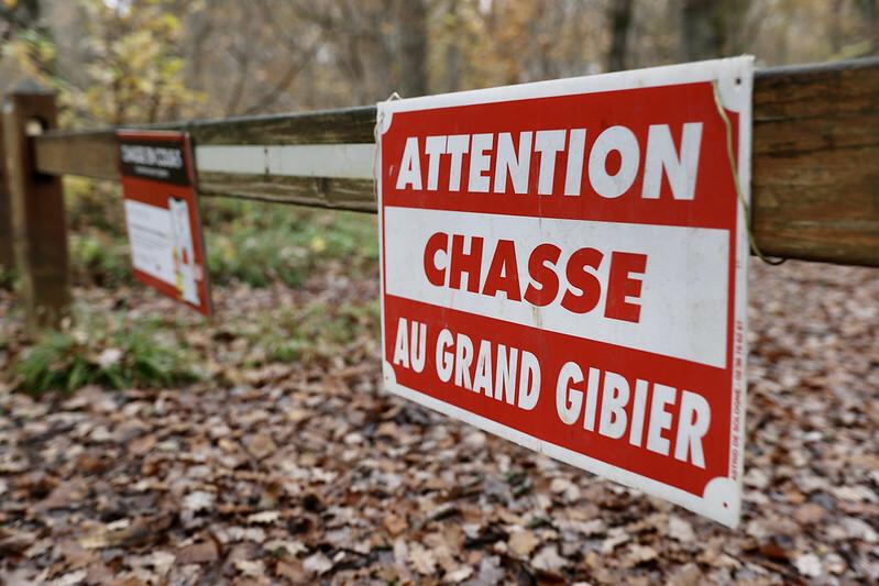 Info battue chasse ⚠