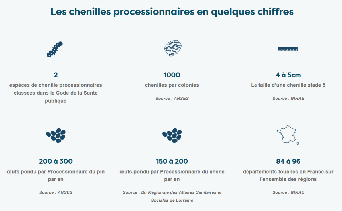 Image de l'actualité