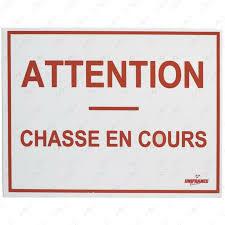 Chasse en cours. -  Chazey-Bons