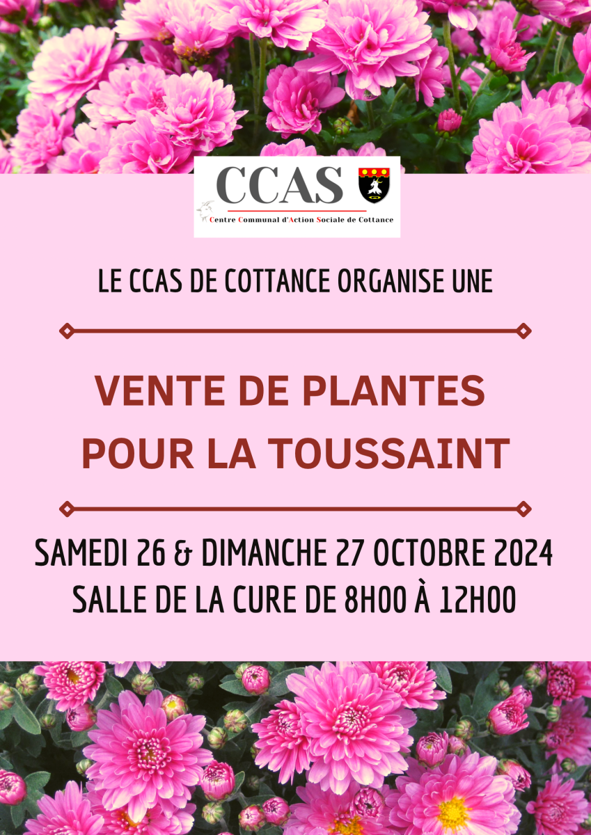 RAPPEL - Vente de plantes pour la Toussaint 🌸