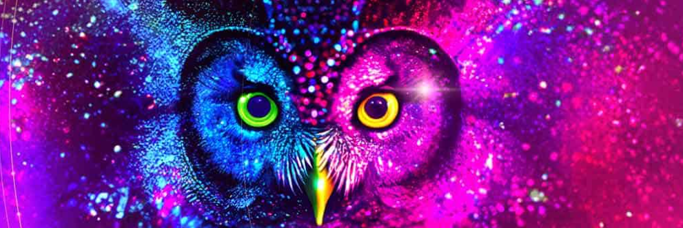 Image de l'actualité