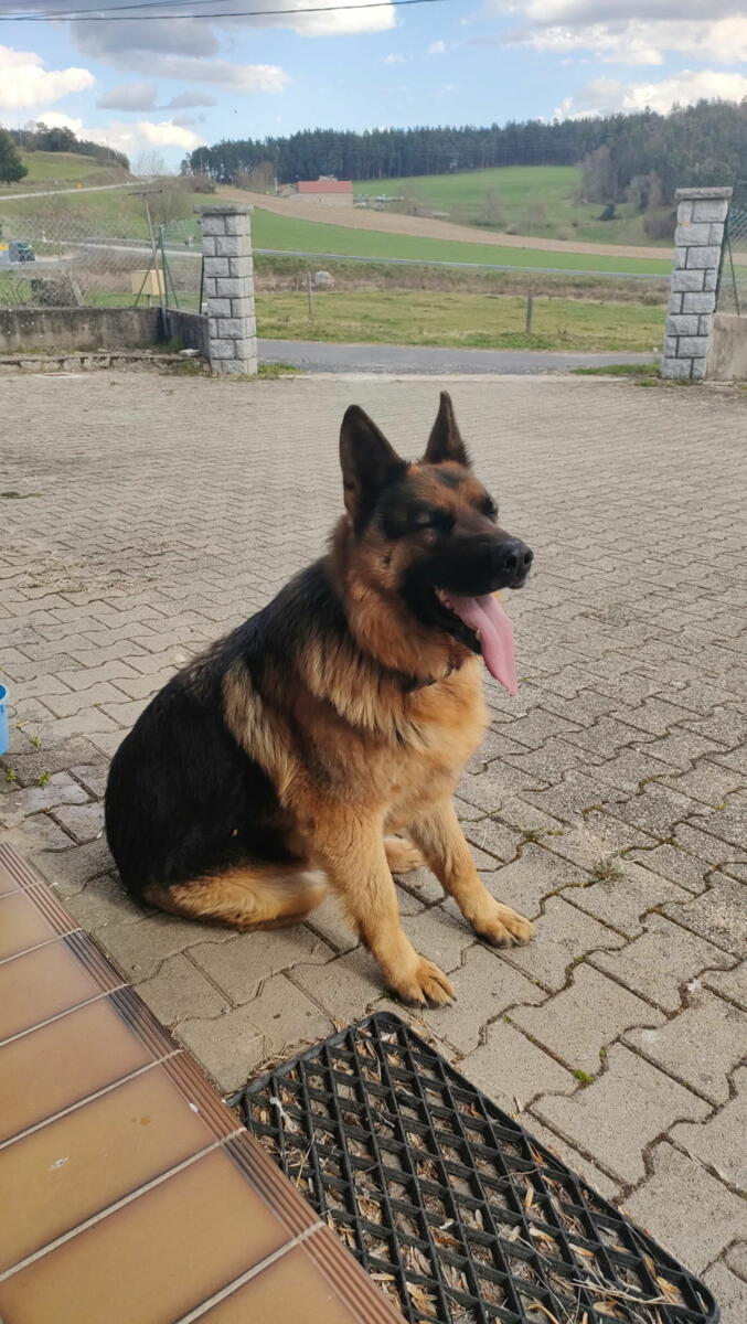 Image de l'actualité