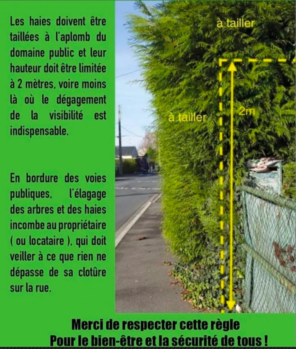 Image de l'actualité