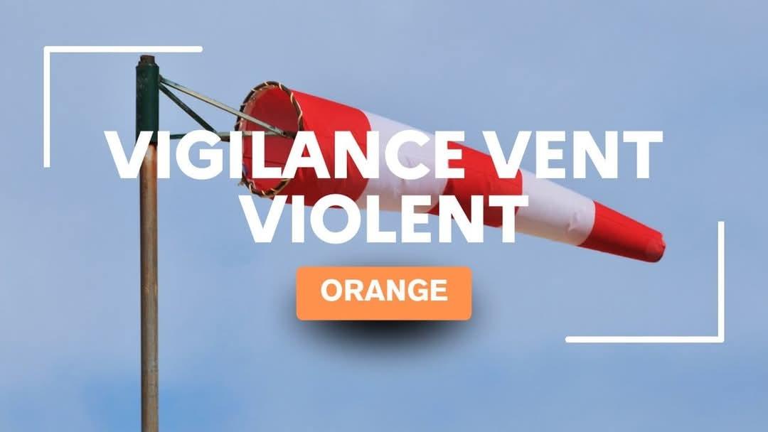 🍃 Vigilance orange vent