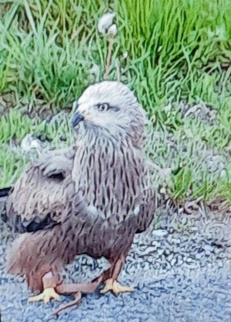 Image de l'actualité