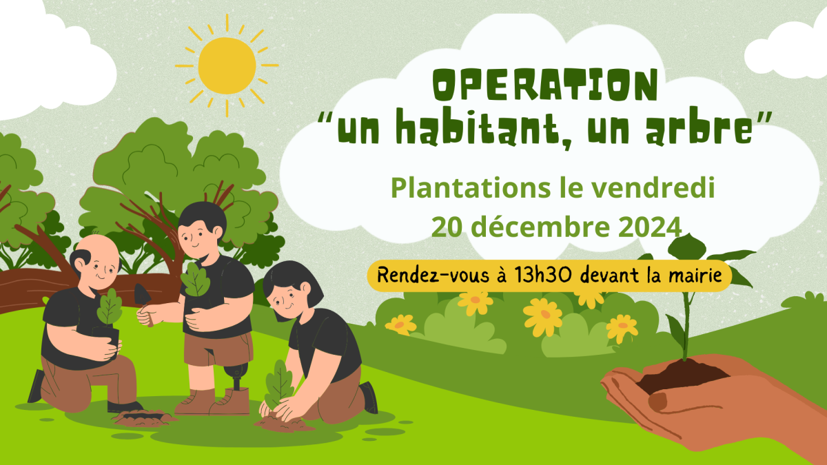 Opération de plantations 