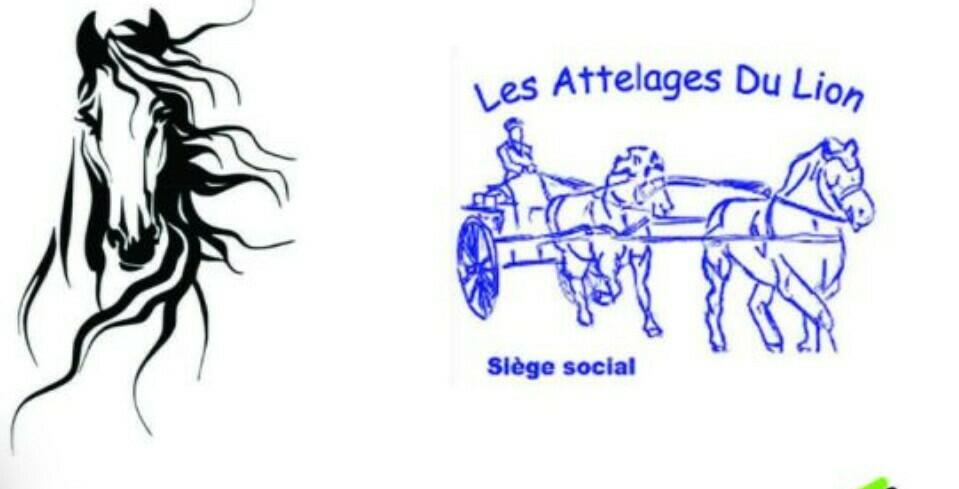 Image de l'actualité