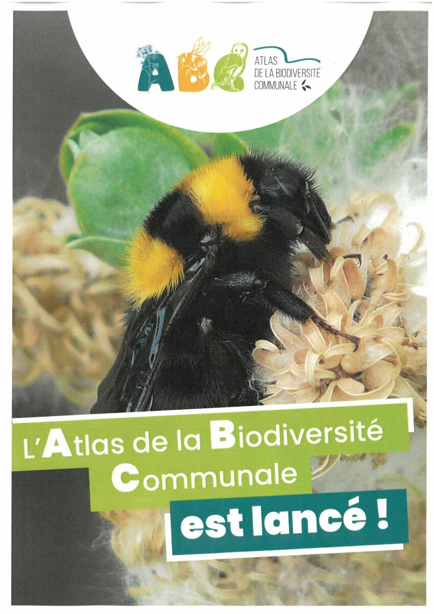 Image de l'actualité