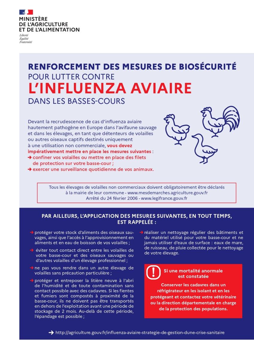 🐔 L'INFLUENZA AVIAIRE PASSE EN RISQUE ÉLEVÉ 🔺