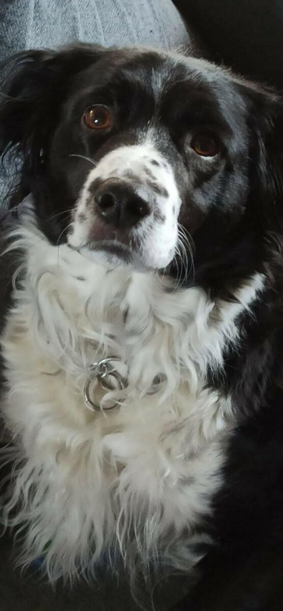 Image de l'actualité