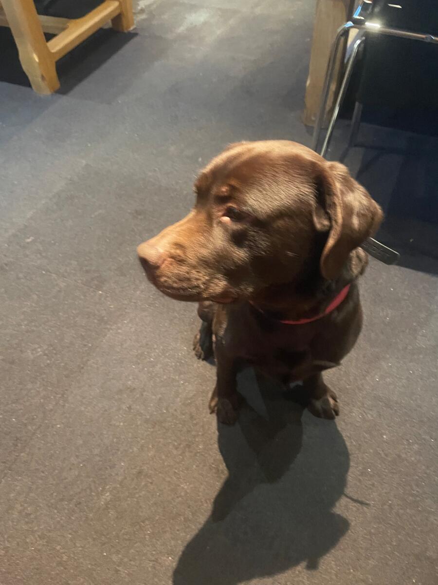 Image de l'actualité