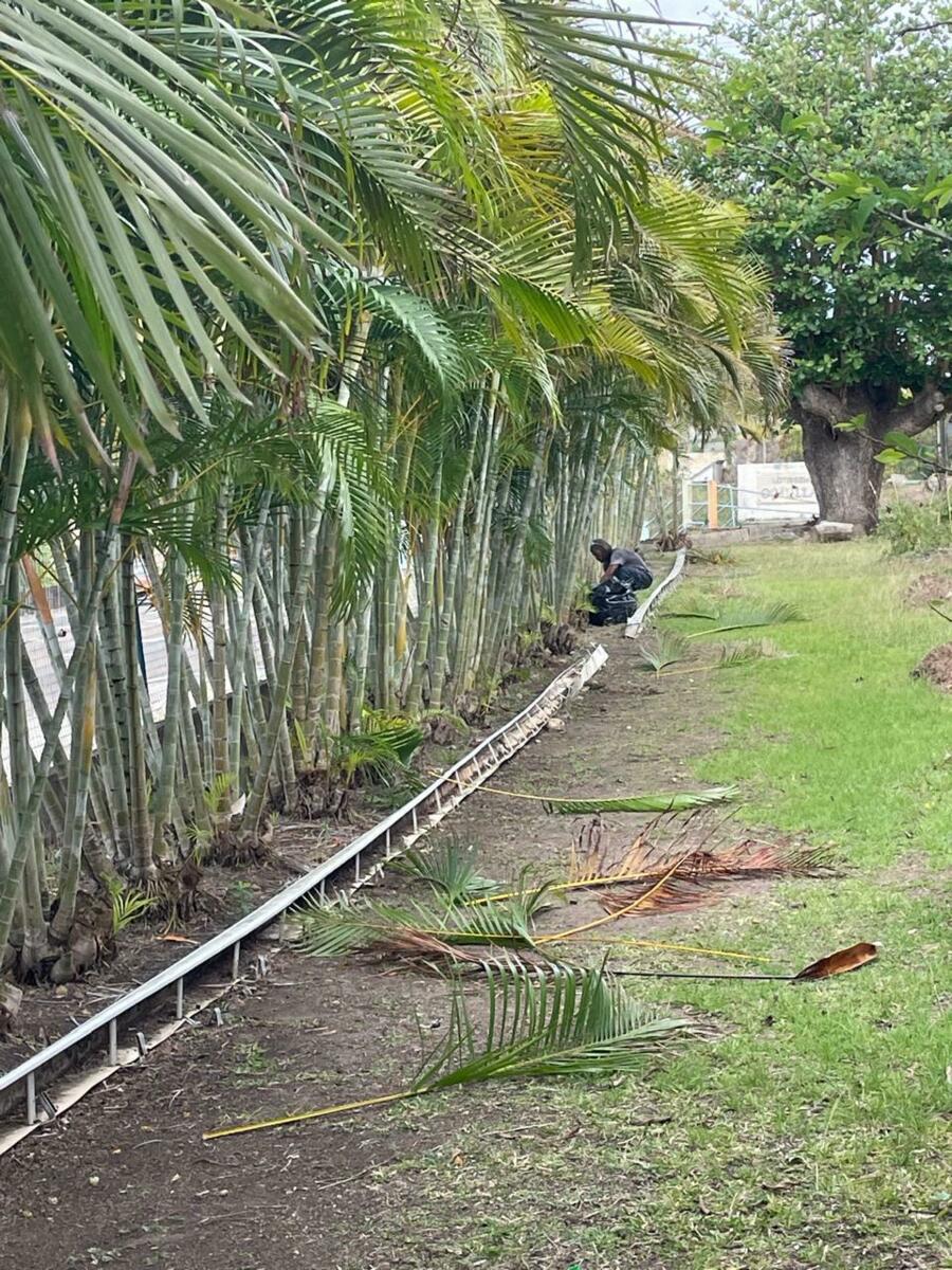 Image de l'actualité